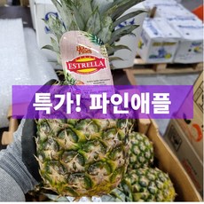 일등농수산 직수입 프리미엄 필리핀 파인애플, 1개, 4과(대과) 6.8kg내외