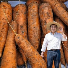 민준농산 제주 구좌 흙 당근 농장직송, 1박스, 3kg(흙 로얄중과)