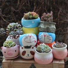 다육이와꼬마정원