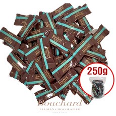 코스트코 부샤드 씨솔트 초콜릿 라이프사은품, 250g, 1개