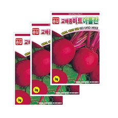 아시아종묘 비트종자씨앗 아틀란 비트(3gx3개입) 약 150립 뿌리비트 전문농가용, 3개