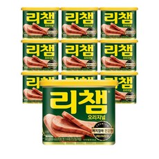 동원에프앤비 리챔 340g 10개