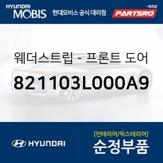 프론트 도어 바디 사이드 웨더스트립(뱀띠고무) 좌측 (821103L000A9) 현대모비스 부품몰 그랜저TG