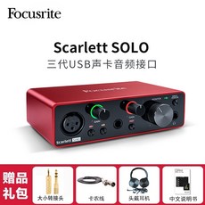 스칼렛솔로케이스
