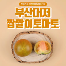 농장직송 부산 대저 짭짜리 토마토 짭짜리토마토 짭짤이 소과 2.5kg 5kg, 2.대저 짭짤이토마토 중(단짠단짠)2.5kg