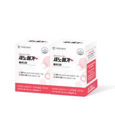 세노이의가르침