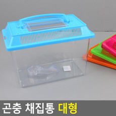 곤충채집박스