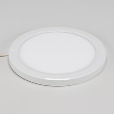 [비츠온] 10인치 LED 더스타일 원형 직부등 20W 주광색 주백색, 주광색(하얀빛), 1개