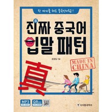 진짜 중국어 입말 패턴:한마디를 해도 중국인처럼!!, 시사중국어사