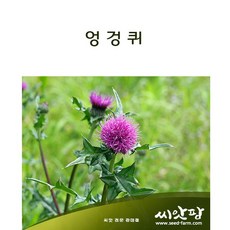 435a85625334d26d20a5a81f50c13a9e0e712ccf20dec6b5691ffd974894.jpeg