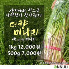 더향 미나리 생으로 먹는 미나리, 500g