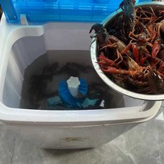 업소용새우세척기 횟집 어시장 조개세척기 반자동, 1. 꽃게 세탁기 1-5파운드