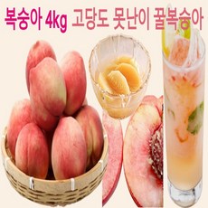 청도복숭아농장