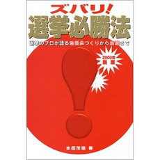한마디로 선거 필승법 - 선거 전문가가 말하는 후원회 만들기에서 당선까지, 단일옵션, 단일옵션