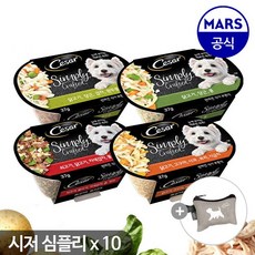 시저코리아스캐너