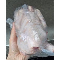속삼계닭