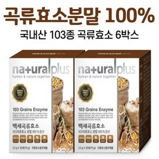 다이어트의정석