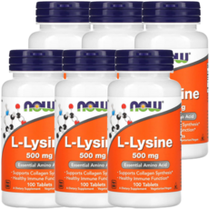나우푸드 L-라이신 500mg, 100정, 6개