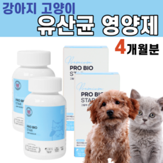 락토벳