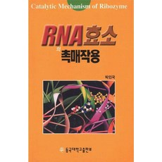 RNA 효소의 촉매작용, 동국대학교출판부, 박인국