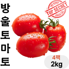 [고니네농수산] 최상품 선별 스테비아 방울토마토, 1개, 2kg(4팩)