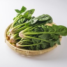 프루미츠 신선하고 달콤한 남해 시금치 보물초 섬초 남해초, 1박스, 1kg