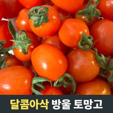 [고당도] 스테비아 방울토마토 1kg 2kg 스테비아토마토 방울토마토 스테비아샤인마토 방울토망고 토망고 스테비아방울토마토 토마토 스테비아토망고 샤인마토 샤인토마토 단마토 스테비아, 1개, 1.5kg(500g*3팩), 1500g