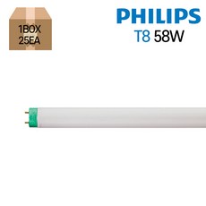 t58w