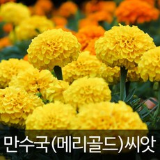 20fc9cb7481a4893d9a8ba97d41621611eb4fb29b7f20235d4da00bbf147.jpg