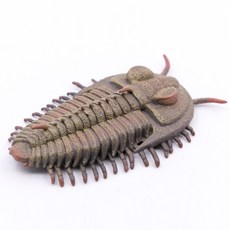 콜렉타