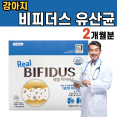 프로파이브에이