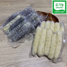 흑찰옥수수