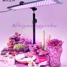 햇빛아래식물등