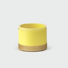 강아지레몬케이크