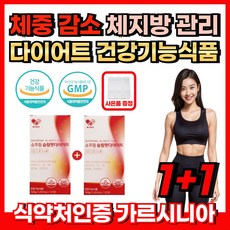 다이어트 건강기능식품 체중 BMI 피하지방 내장지방 체지방 감소 배설물 증가 탄수화물 지방 합성 억제 복부둘레 걱정 체지방 관리 가르시니아 캄보지아 HCA 비타민 셀레늄 더:익