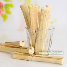 펫올라잇