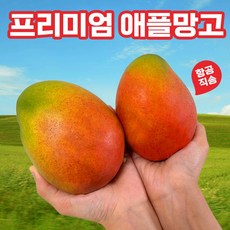 망고 선물세트 항공직송 최고급, 4kg (8과수내외), 1개