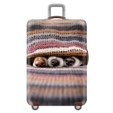 캐리어바퀴덮개