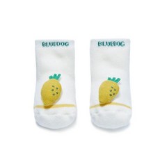 블루독베이비호박