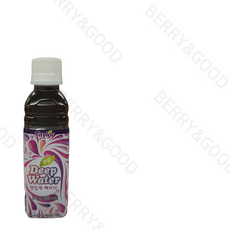 [품질보증]테일러 푸룬주스 딥워터 180ml 4종100% 정품