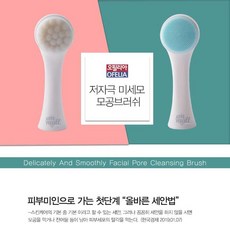 모공파데브러쉬