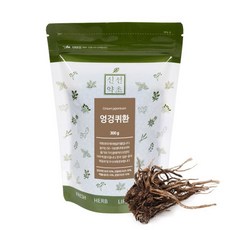 국산 엉겅퀴환 300g 대계근환 970303EA tlq*279xr, 1개, 본상품선택, 본상품선택 - xr300