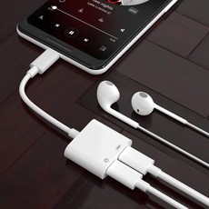 c타입to파이젠더