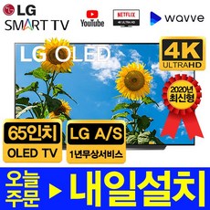 LG전자 올레드 2020년 65인치 77인치 AI ThinQ UHD 스마트 TV OLED65CX OLED77GX 1년무상AS, OLED65인치, 서울경기스탠드설치