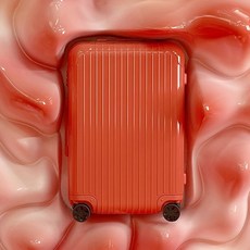 프리미엄지퍼형캐리어투명커버