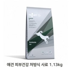 스텔라앤츄이스샘플