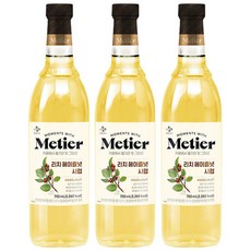 CJ 메티에 리치 헤이즐넛향 시럽 700ml X 3개