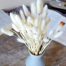 버니테일포푸리