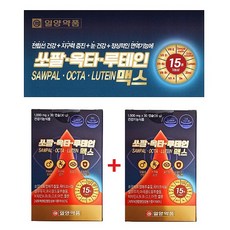맥스킹청소기