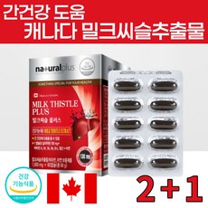 캐나다 밀크씨슬 추출물 간건강 도움 밀크씨슬 플러스 1000mg 6개월분